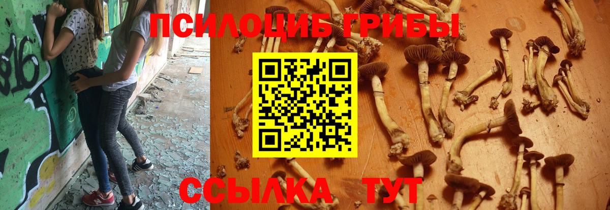 Галлюциногенные грибы MAGIC MUSHROOMS Искитим