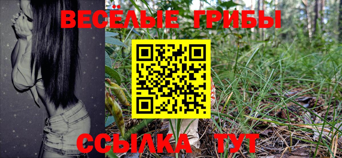 Галлюциногенные грибы GOLDEN TEACHER  как найти закладки  Искитим  Вход с VPN 